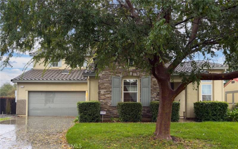 Front yard and house