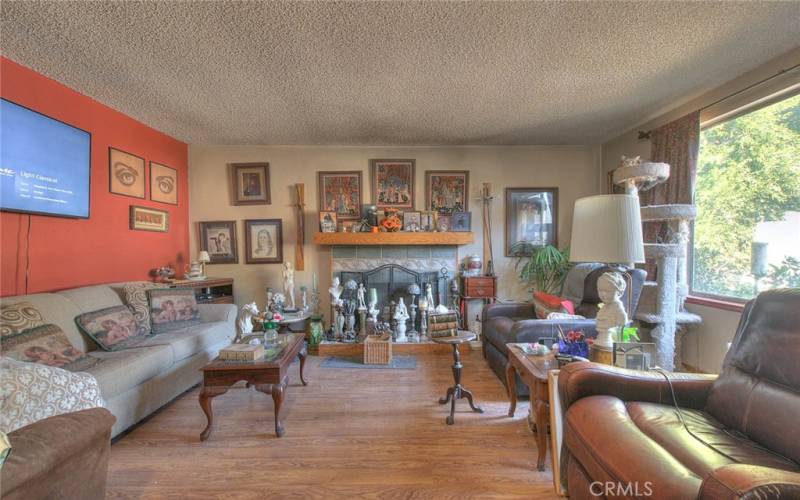 Living room and fireplace