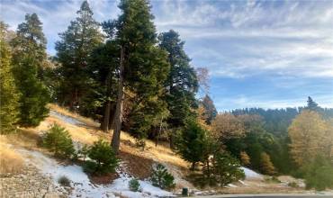 285 Hidden Forest Road, Lake Arrowhead, California 92352, ,Land,Buy,285 Hidden Forest Road,IG24237264