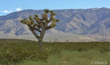 4444 Bessemer, Johnson Valley, California 92285, ,Land,Buy,4444 Bessemer,JT24238732