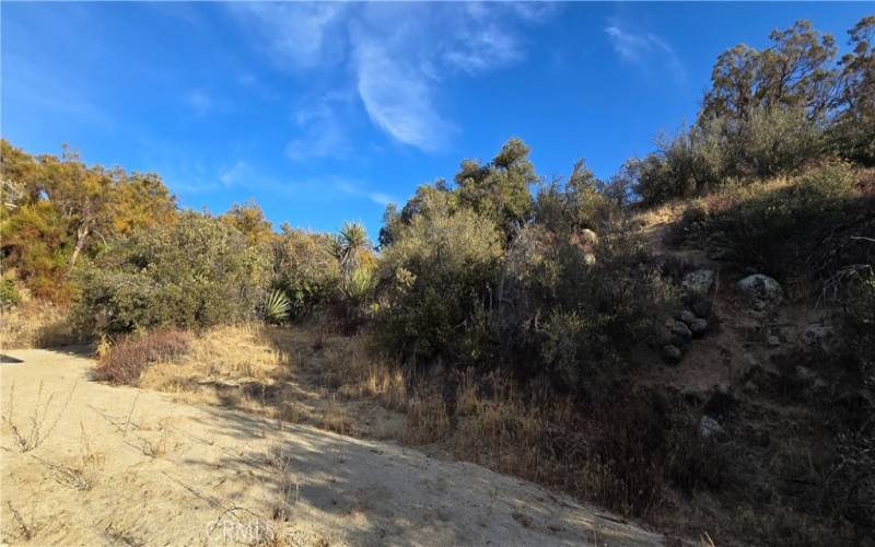 Southern edge, dry creek bed