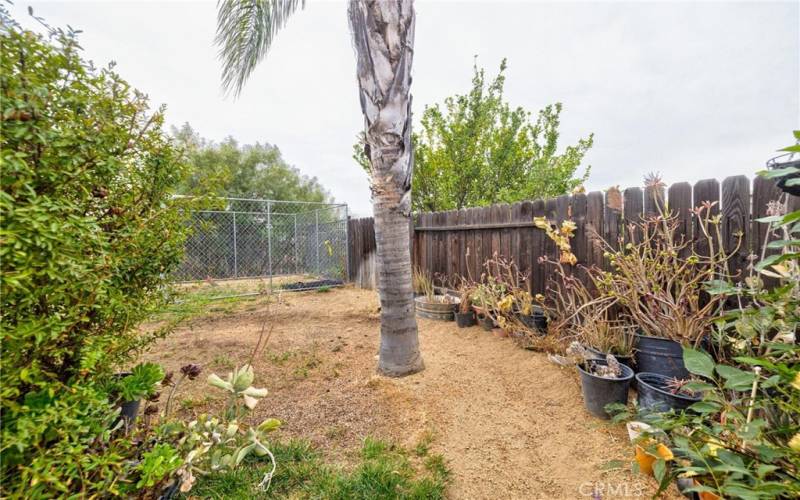 Garden and Dog kennel.