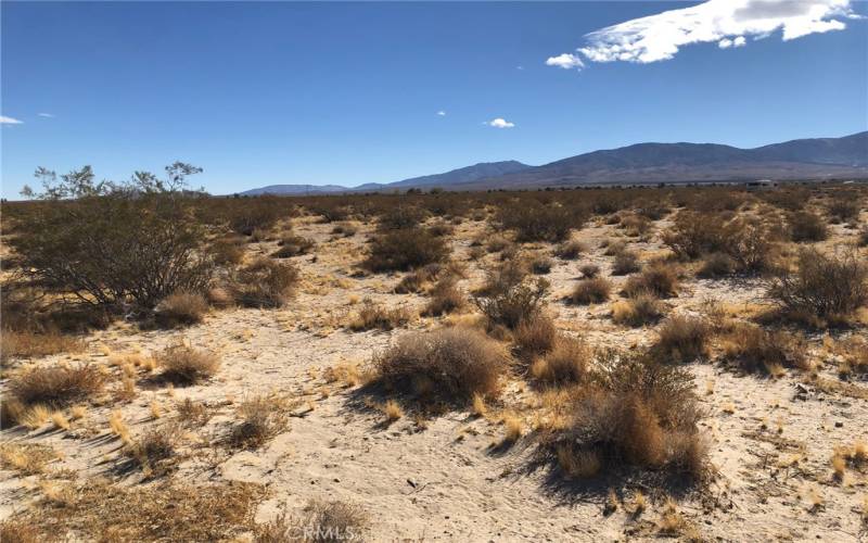 View looking southeast from the northern boundary.