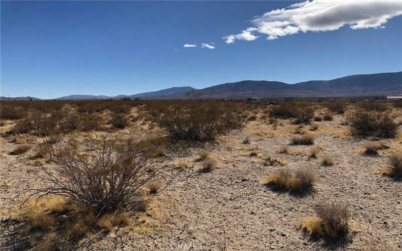 View looking southeast from the northern portion of the parcel.