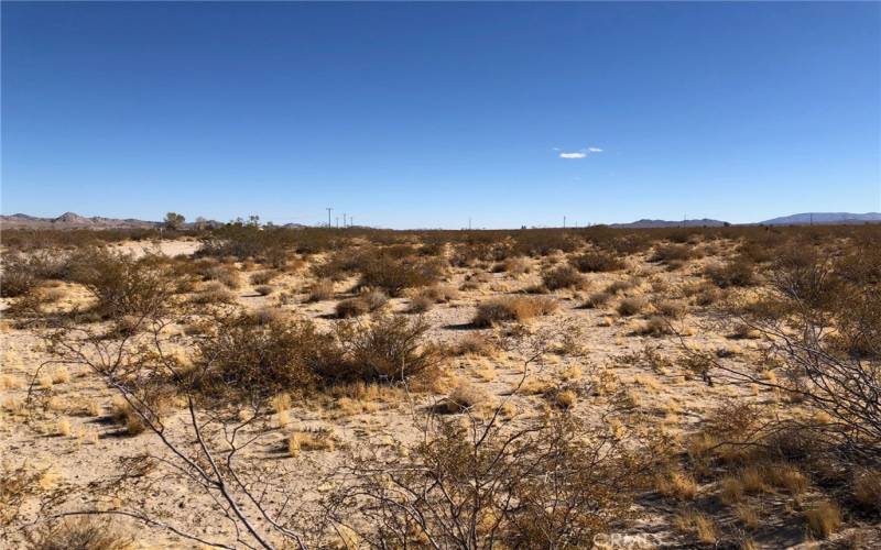 View looking northeast from the front portion of the lot.