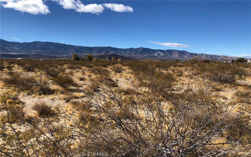 View looking southwest from the northern boundary.