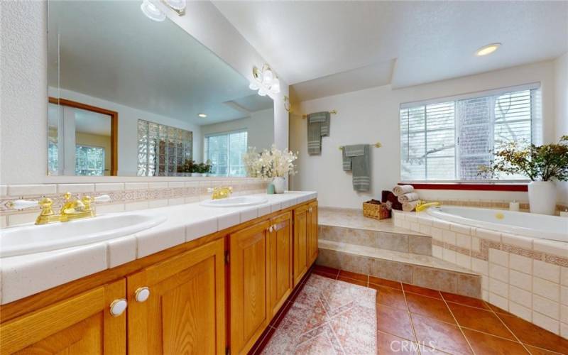 Huge Master Bath with Separate Jacuzzi Tub