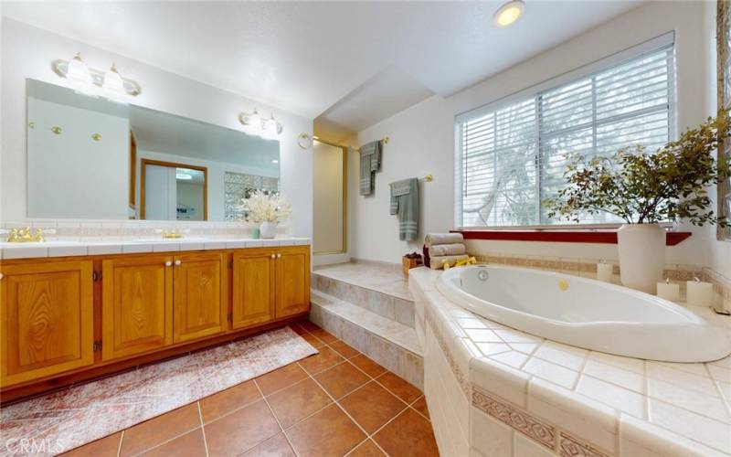 Huge Master Bath with Separate Jacuzzi Tub