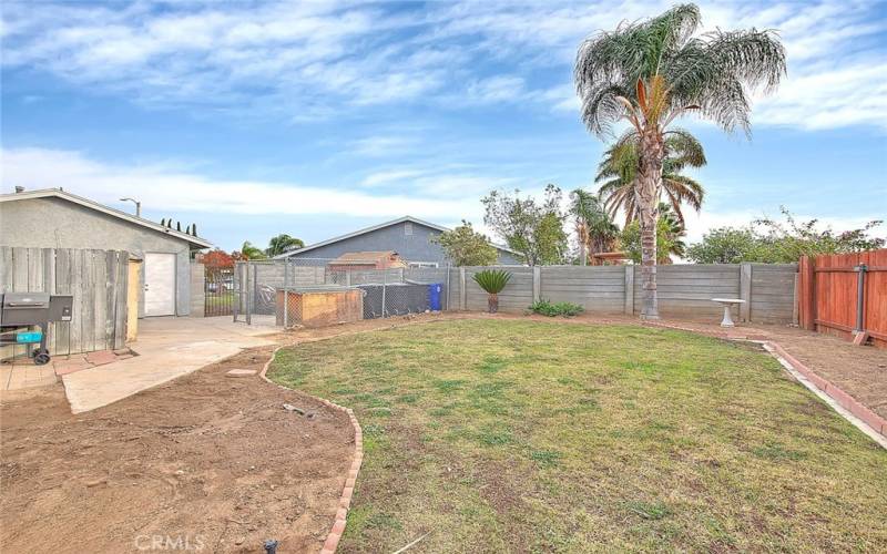 Side yard off kitchen and bedroom #4