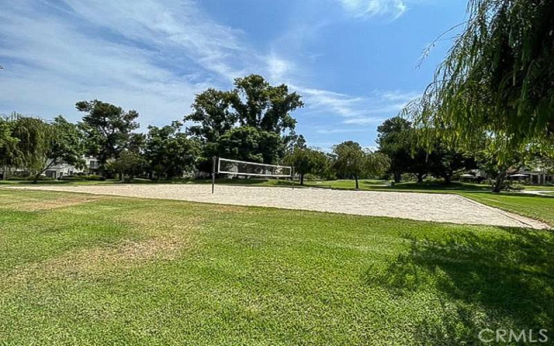 Association volleyball court