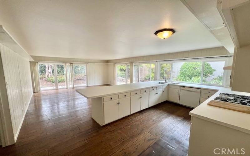 Kitchen open to family room