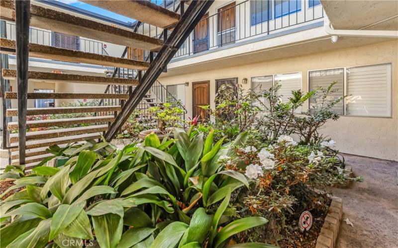 Lush green space in the courtyard