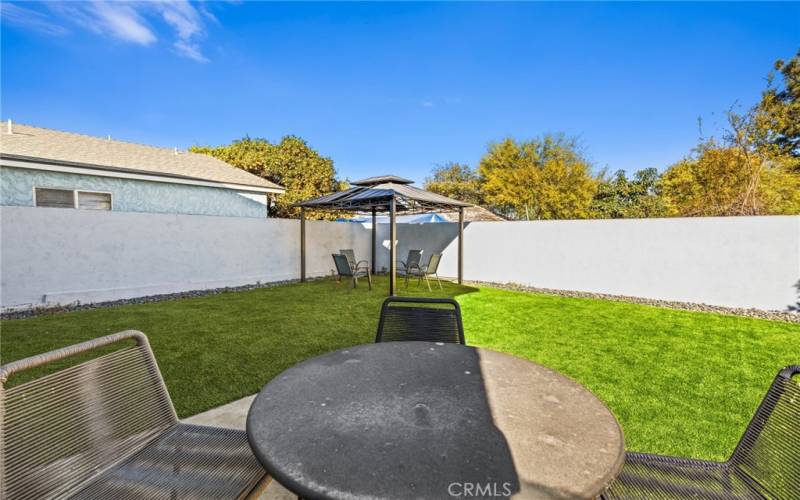 Green Turf in front of& back yard.