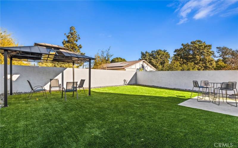 Green Turf in front of& back yard.