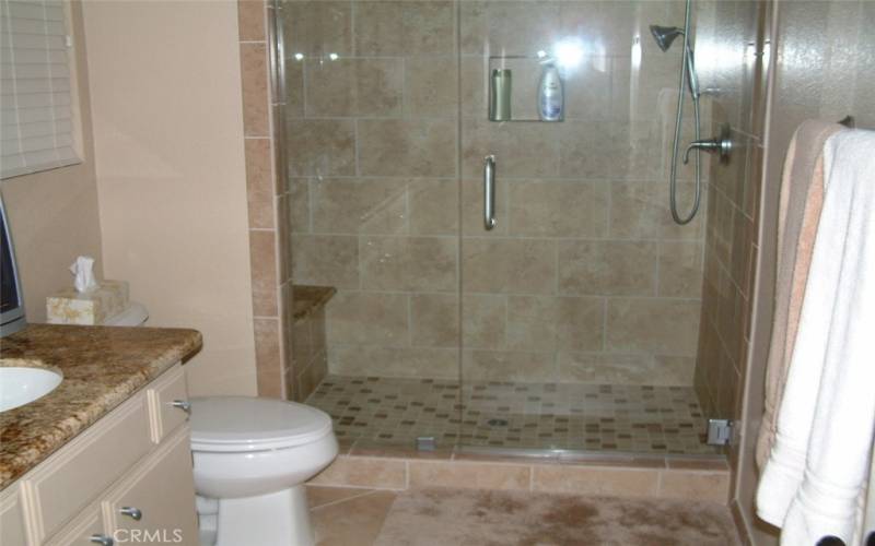 Master bath and shower