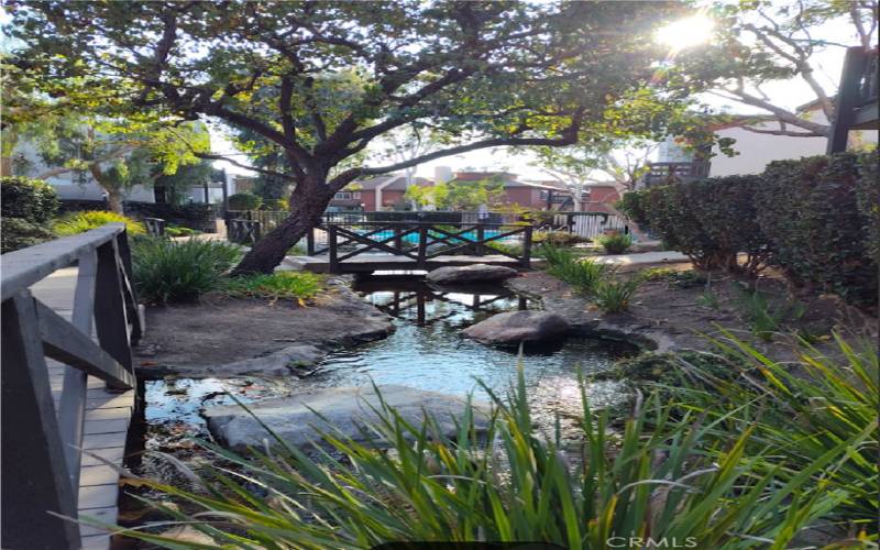 Streams, Pool #1, romantic wooden culverts