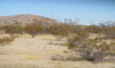 1001 Neuralia Boulevard, California City, California 93505, ,Land,Buy,1001 Neuralia Boulevard,HD24240607