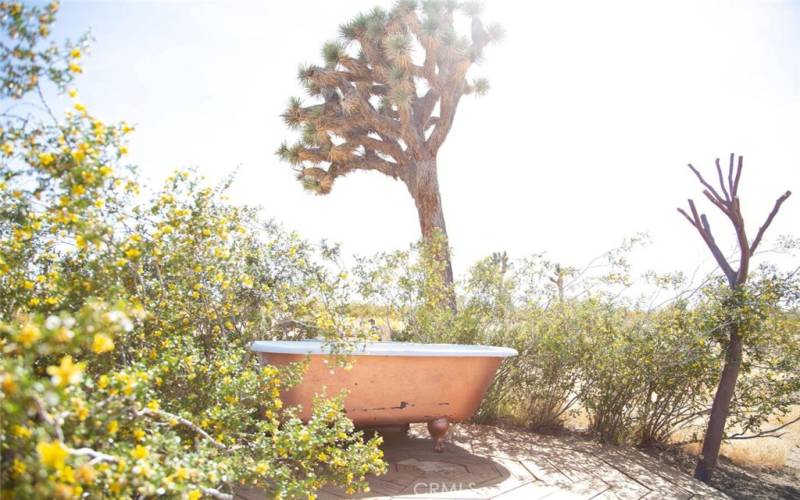 1of 2 Creosote Baths