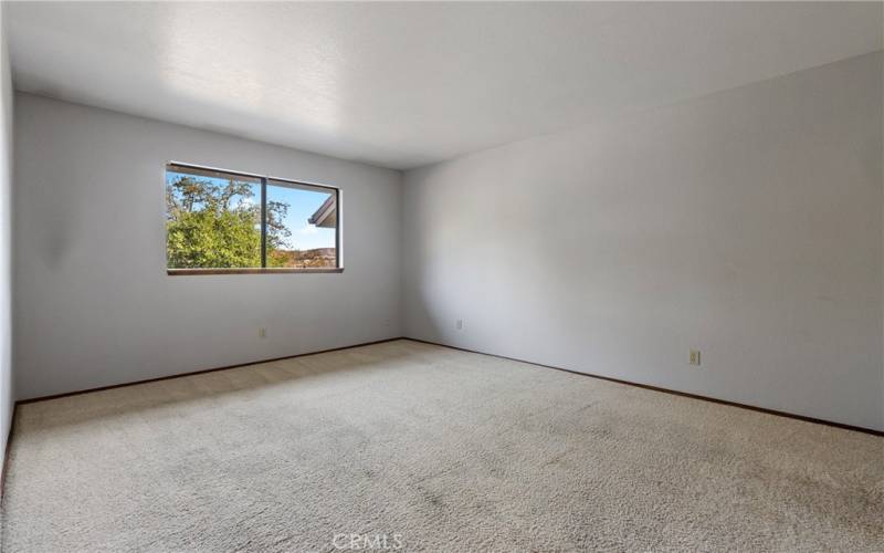 Primary bedroom is on the main level and is spacious with a nice view of the hillside.