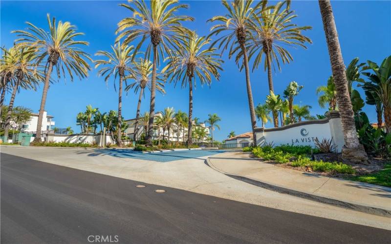 Beautiful Tree-Lined entrance!  A welcoming experience every time.