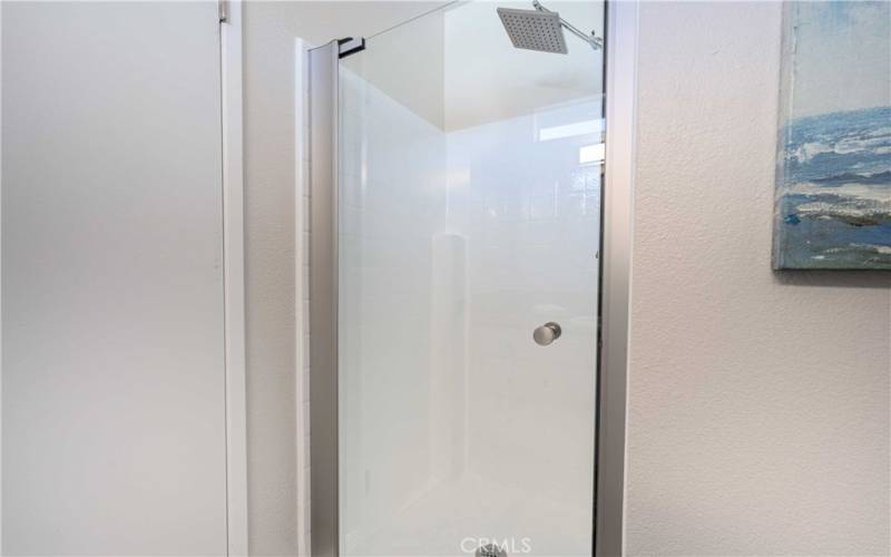 Sleek New Shower Door and Large Rain Shower Head!