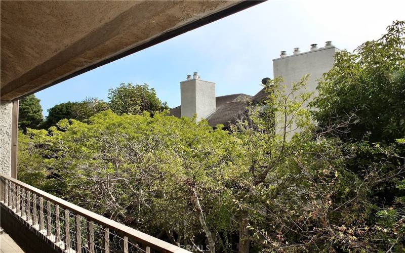 Balcony ~ come on out and look at the trees