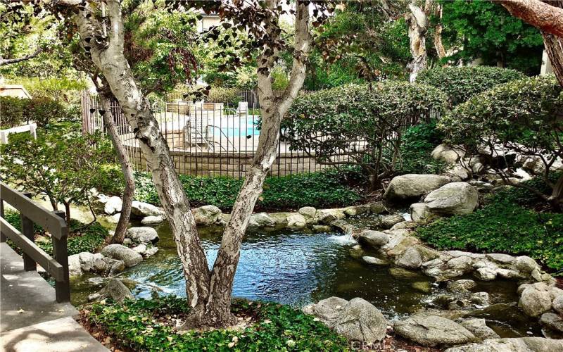 Water features to creating a tranquil feel