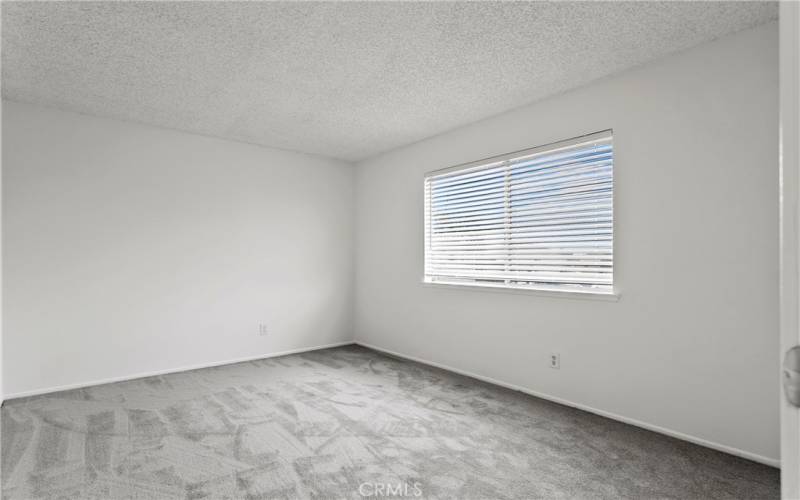 Primary bedroom with new carpet, window & new blinds.