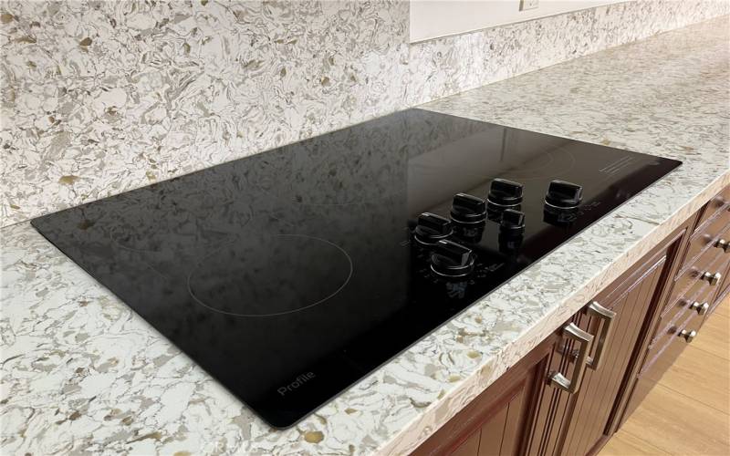 New glass cook top range