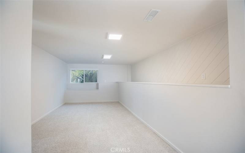 Large flex space with brand new carpet