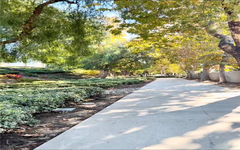 Clubhouse walking path