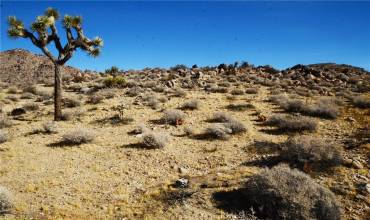 8675 Tortuga Trail, Joshua Tree, California 92252, ,Land,Buy,8675 Tortuga Trail,JT24241577