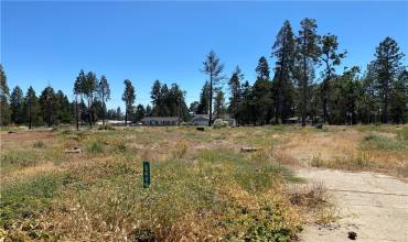 6440 Shaw Circle, Magalia, California 95954, ,Land,Buy,6440 Shaw Circle,SN24231704