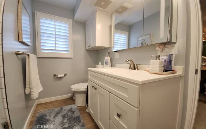 New Vanity and Cabinetry.