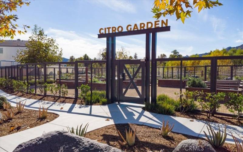 The community offers incredible amenities, including avocado and citrus groves, 235 acres of open space, 14 miles of scenic trails, a community garden, a public park, a dog park, and a bocce ball court.