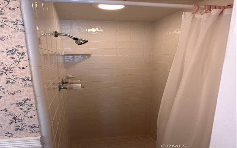 Master Bath shower