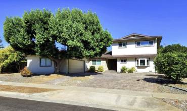 737 Saranac Drive, Sunnyvale, California 94087, 5 Bedrooms Bedrooms, ,3 BathroomsBathrooms,Residential Lease,Rent,737 Saranac Drive,ML81987628