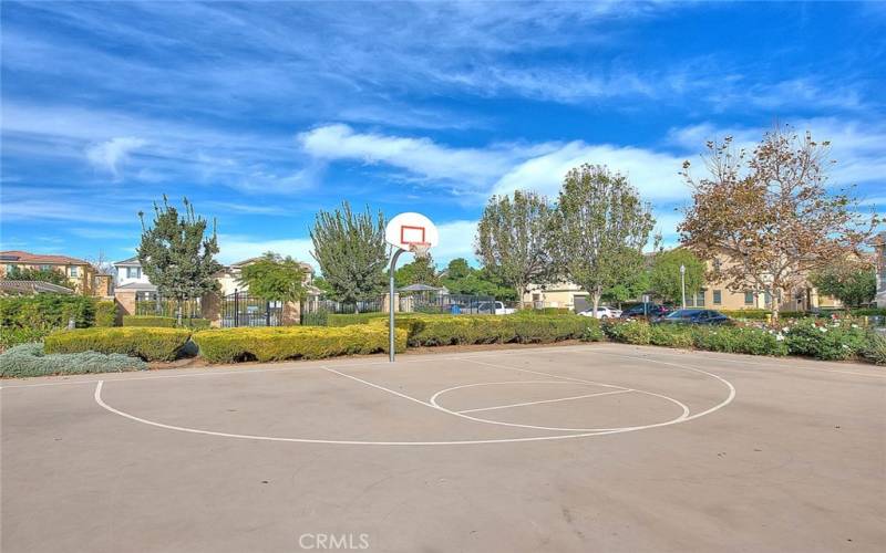 Community Half Basketball Court