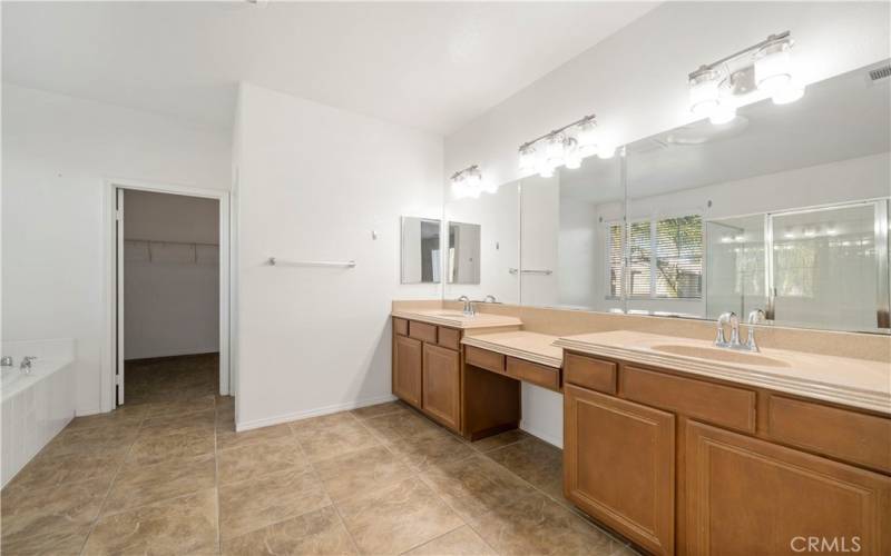 Master Bathroom and Walking Closet