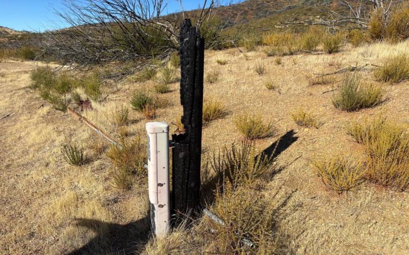 Abandoned electric with charred wooden post