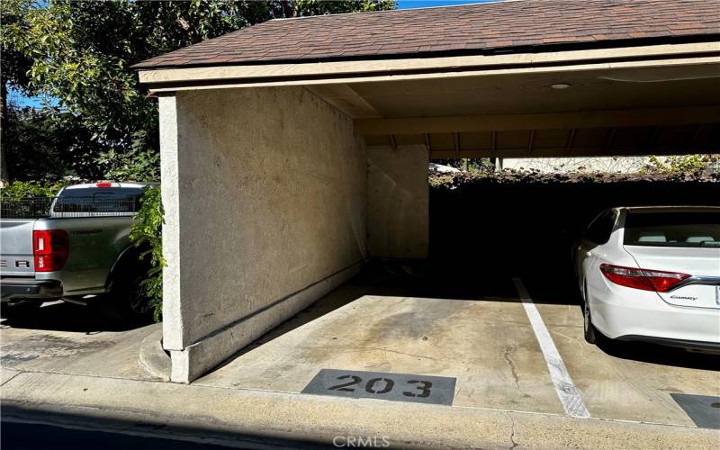 Assigned Carport #203. Uncovered spot to the left is an example of the uncovered guest parking spaces throughout the community.