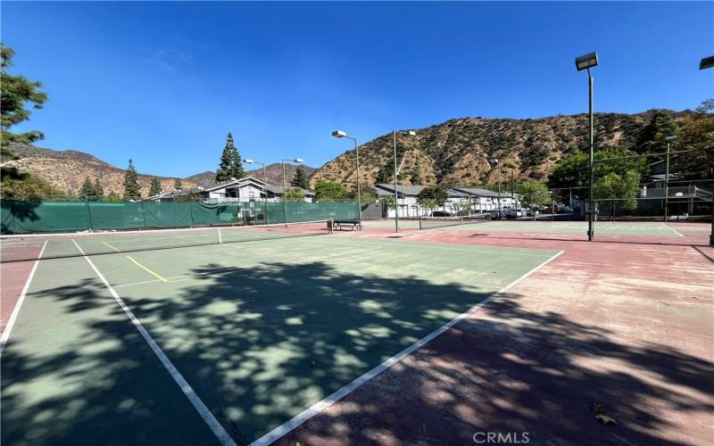 Tennis/pickle ball courts