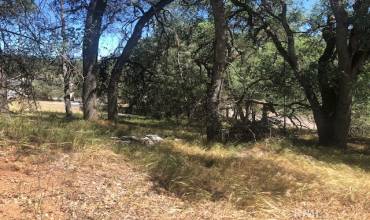 4474 Pine Avenue, Clearlake, California 95422, ,Land,Buy,4474 Pine Avenue,LC21089353