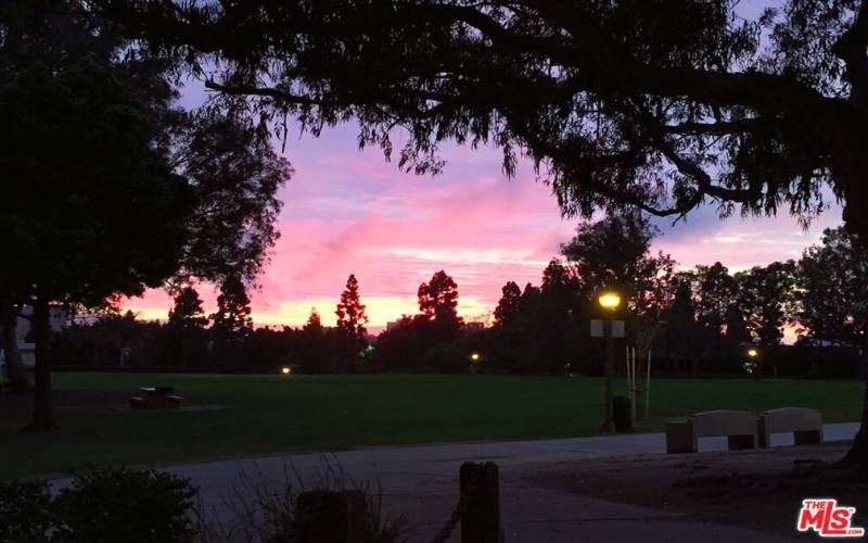 Fox Hills Park at Dusk