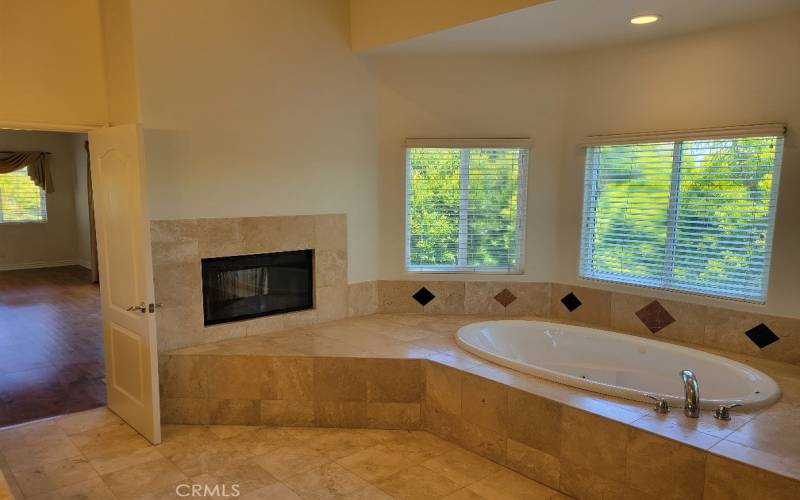 Luxurious primary bathroom with a fireplace and indoor spa