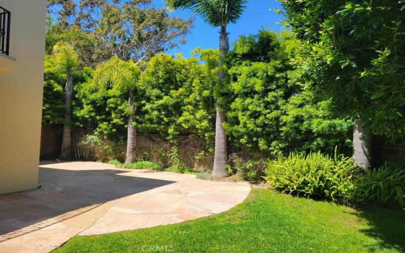 Another view of the backyard of the property