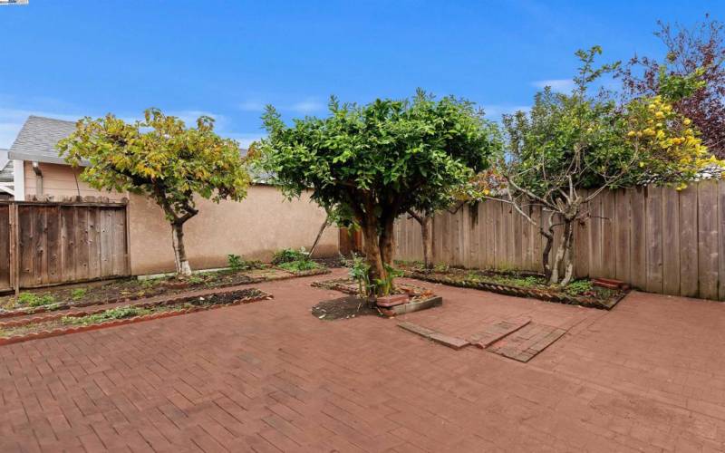 Back yard with mature fruit trees