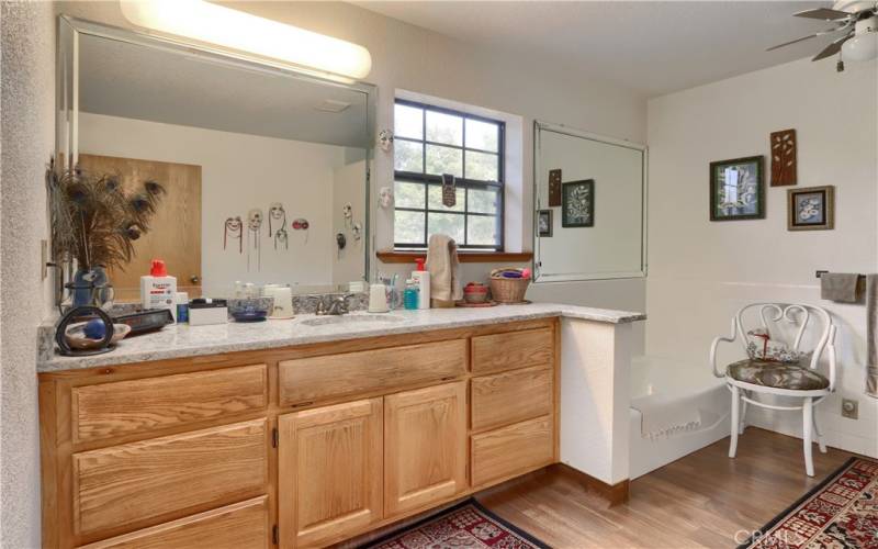 Spacious master bathroom with soaking tub and walk in shower!