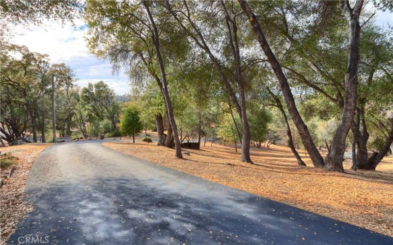 Paved driveway through this beautifully manicured property leading to your dream home!