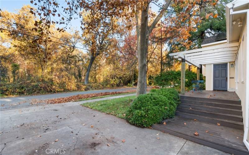 View of front yard directly across from Bidwell Park